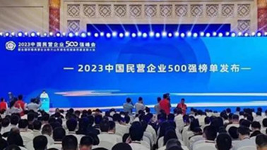 sunbet集团位列2023中国民营企业500强第203位、2023中国制造业民营企业500强第139位